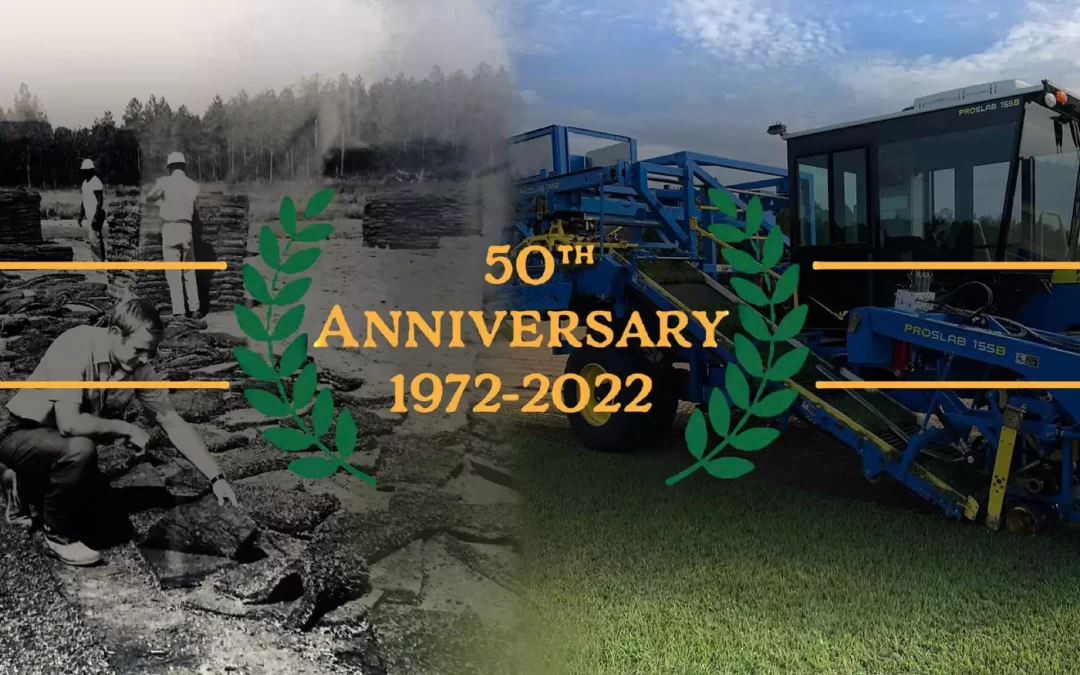 A Golden Anniversary for Simpson Sod